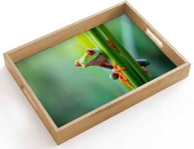 Dienblad hout 40x30 cm - Schootdienblad - Groene kikker - Nieuwsgierig - Gras - Borrelplank rechthoek - Plateau dienbladen