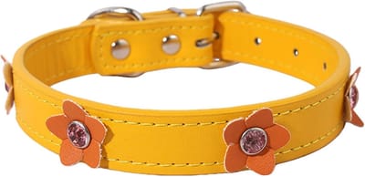 leer, kleine honden, schattige bloemen, puppyhalsband voor extra kleine, middelgrote en grote rassen, huisdier, vrouwelijke honden, katten, goud, oranje, S