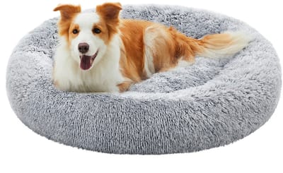 Feandrea Fluffy Hondenbed, Kattenbed, Donutkussen, Wasbaar, Uitneembare Middenvulling, Lange Pluche, Diameter 90 cm, Ombre Grijs PGW041G01