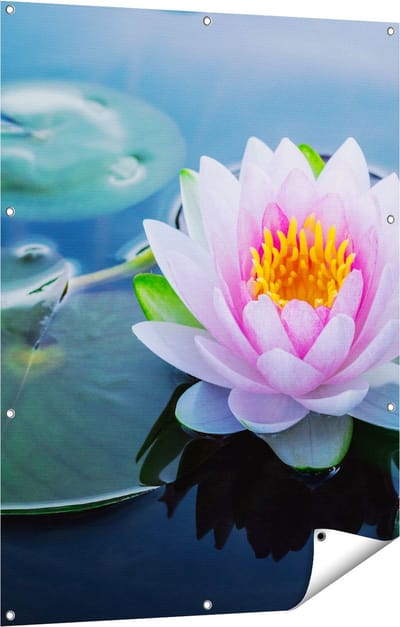 Gards Tuinposter Roze Lotusbloem met Waterlelies - 90x120 cm - Tuindoek - Tuindecoratie - Wanddecoratie buiten - Tuinschilderij