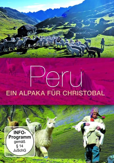 Peru, Ein Alpaka Fur Christobal
