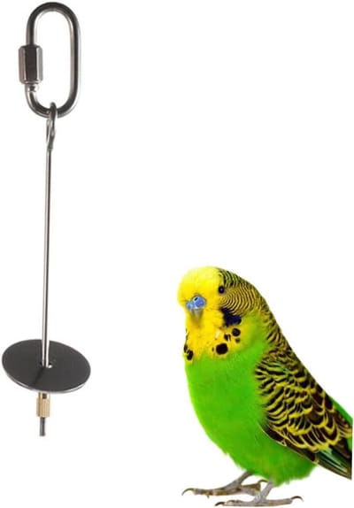 Vogel Fruitvork - Vogelspeelgoed Hangend - Stimuleert Hersenen - Roestvrij Staal - 15cm Lengte - Zilver