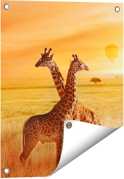 Gards Tuinposter Twee Giraffen met Twee Oranje Luchtballonnen - 40x50 cm - Tuindoek - Tuindecoratie - Wanddecoratie buiten - Tuinschilderij