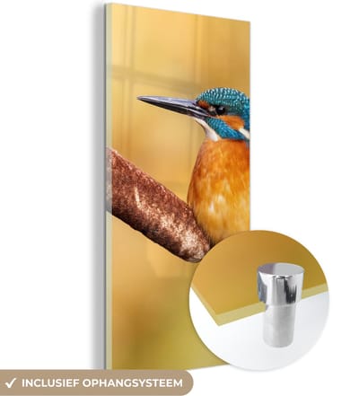MuchoWow® Glasschilderij 20x40 cm - Schilderij acrylglas - IJsvogel - Natuur - Vogel - Foto op glas - Schilderijen