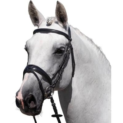 Riem voor paardrijden Premier Equine Artana