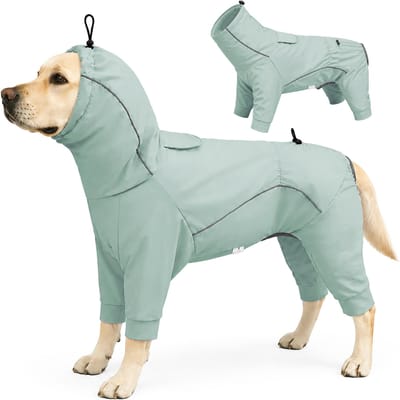 Vierpoot Honden Regenjas Winddicht Waterdicht Koudebestendig Huisdier Jas Met Reflecterende Strip Capuchon Buiten Kamperen Wandelen Hond Cape (green,L) groen