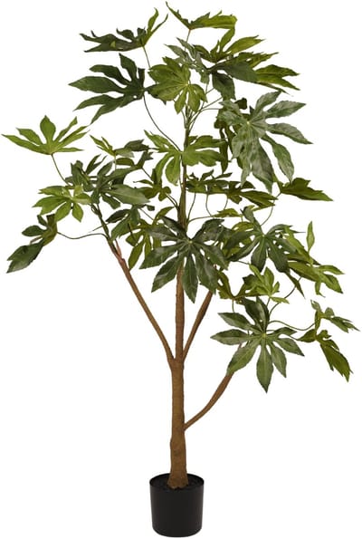Kunstplant Fatsia Groen - Realistisch & Onderhoudsvrij