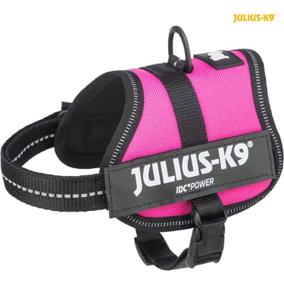 Julius K9 IDC Powertuig/Harnas - Baby 2/33-45cm - XXS - Fuchsia