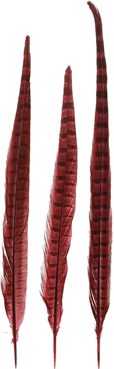 Fazantenveren Rood Echte Veren Decoratie Wijnrood 35-45cm 9 st