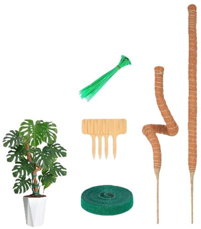 4 Delige Mosstok voor Planten - Plantensteun - Mosstok Verlengbaar – Plantenstok - Perfect voor Monstera, Pothos en Meer - en steunhulp voor planten - LOUZIR