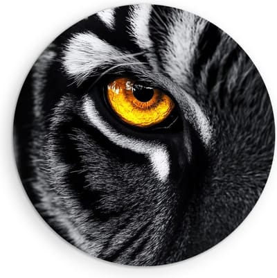 Saammp Muurcirkel Hout - Tijger met oranje oog - Natuur - Dieren - Ø 90 - Wandcirkel - Wanddecoratie Cirkel - muurdecoratie Woonkamer - Slaapkamer decoratie - Rond Schilderij