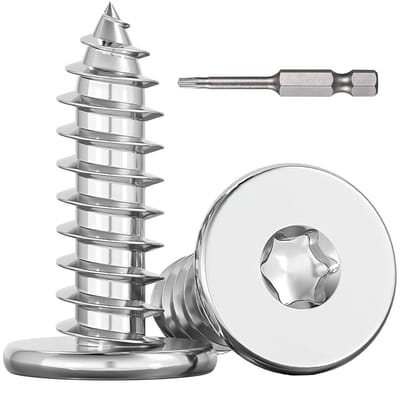 Houten Schroeven - Torx Schroeven - Doe-het-zelf Projecten - Roestvrij Staal A2 - 100 Stuks - Zilver