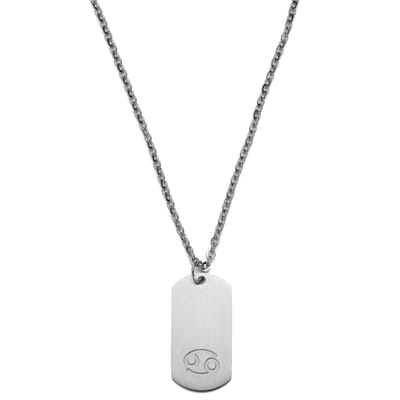 Zilverkleurige Stalen Ketting met Sterrenbeeld Kreeft