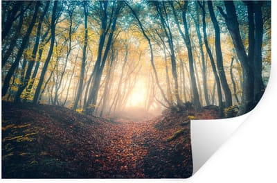 Muurstickers - Sticker Folie - Bos - Mist - Zon - Herfst - 30x20 cm - Plakfolie - Muurstickers Kinderkamer - Zelfklevend Behang - Zelfklevend behangpapier - Stickerfolie