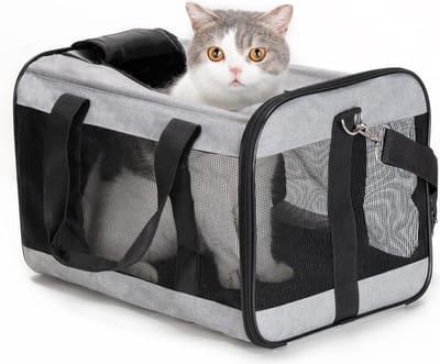 Katten Reismand Opvouwbare honden transportbox - reisvriendelijke transportzak voor hond - katten luchtvaartmaatschappij goedgekeurd - M