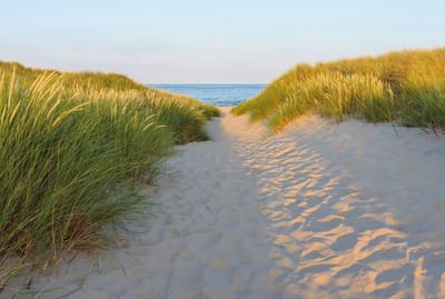 Komar Colours - Fotobehang Sandy Path - Behang - Inclusief Lijm - 368 x 254 CM.