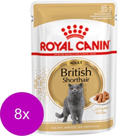 Royal Canin British Shorthair Adult Natvoer - Kattenvoer - 8 x 12x85 g