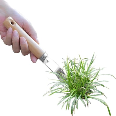 Onkruidverwijderaar Handgereedschap - Onkruid hark - Tuinonderhoud - Roestvrijstaal - 13 cm - Enkel kenmerk
