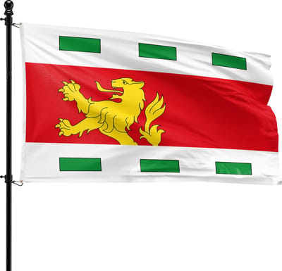 VlagDirect - Barendrecht vlag - Gemeente Barendrecht vlag - 90 x 150 cm.