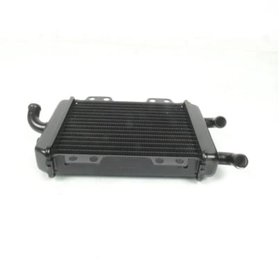 Radiateur de refroidissement pour scooter Peugeot 125 Elyseo 738202 737859 Neuf