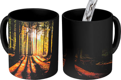 Magische Mok - Foto op Warmte Mokken - Koffiemok - Zon - Bomen - Bos - Landschap - Natuur - Magic Mok - Beker - 350 ML - Theemok