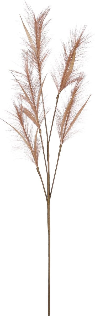 House of Seasons pluimgras losse steel/tak - meerdere stengels - lichtbruin - 98 cm - Decoratie kunst bloemen