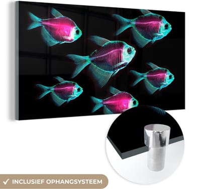 MuchoWow® Glasschilderij 40x20 cm - Schilderij acrylglas - Vis - Paars - Blauw - Foto op glas - Schilderijen