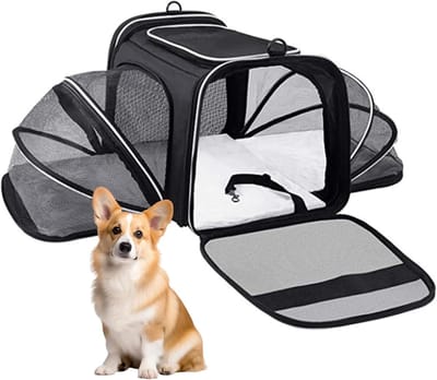 Transportbox Huisdieren - Reistas Kat Hond - Comfortabel Reizen - Luchtvaart Goedgekeurd - 44 x 28 x 7 cm - Zwart