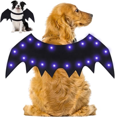 Halloween Kostuum voor Honden met Bat Vleugels - LED Gevoel Kostuum voor Honden en Katten, Cosplay Outfit 43 x 20 cm Zwart