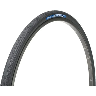 Panaracer Pasela Protite 700c X 23 Urbanband Zilver 700C x 23