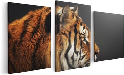 Artaza Canvas Schilderij Drieluik Zijaanzicht Van Een Tijger - Tijgerkop - 120x60 - Foto Op Canvas - Canvas Print