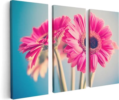 Artaza Canvas Schilderij Drieluik Twee Roze Anjers - Bloemen - 120x80 - Foto Op Canvas - Canvas Print