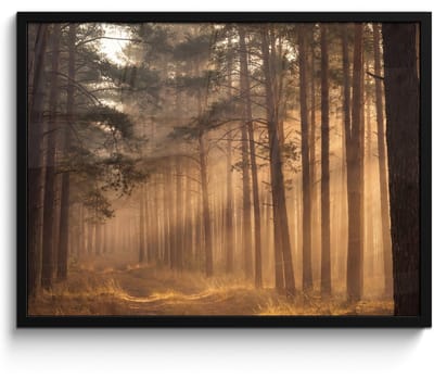 Poster in lijst - Fotolijst 80x60 cm - Posters - Bos - Mist - Zonlicht - Posterlijst zwart - Decoratie - Wanddecoratie woonkamer - Muurdecoratie slaapkamer
