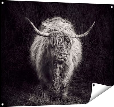 Gards Tuinposter Schotse Hooglander Koe - Zwart Wit - 100x80 cm - Tuindoek - Tuindecoratie - Wanddecoratie buiten - Tuinschilderij
