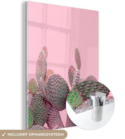 MuchoWow® Glasschilderij 30x40 cm - Schilderij acrylglas - Cactus - Planten - Zomer - Foto op glas - Schilderijen