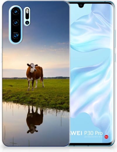 Huawei P30 Pro TPU Hoesje Koe