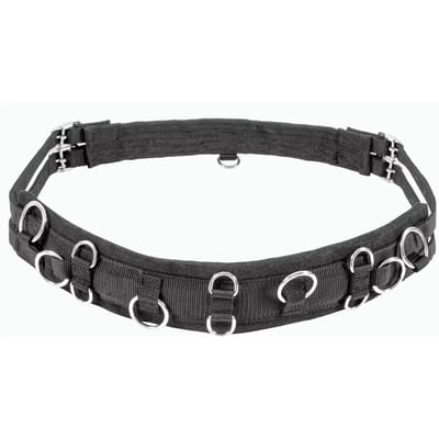 Mini-shetty paard surfaix USG
