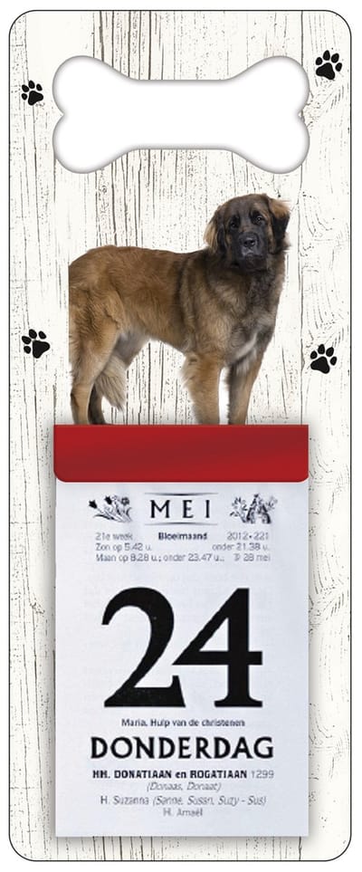 Scheurkalender 2027 Hond: Leonberger