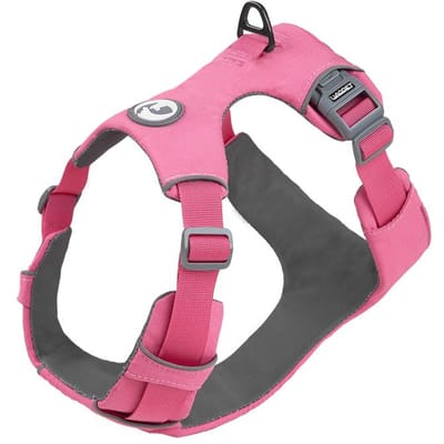 Hondveiligheidsharnas Anti-trek Functie Type Duurzaam en comfortabel Huisdierharnas Voor puppy middelgrote en grote honden 3M Reflecterend Hond XS(33-43cm) pink