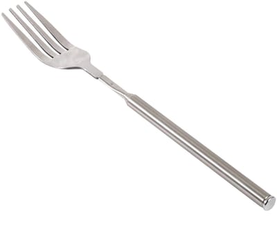 Dailygoody - Uitschuifbare Vork - Telescopische Vork - Ideaal voor Diner - Roestvrijstalen Handvat - Geschikt voor Hotdogs en Groenten - Perfec...