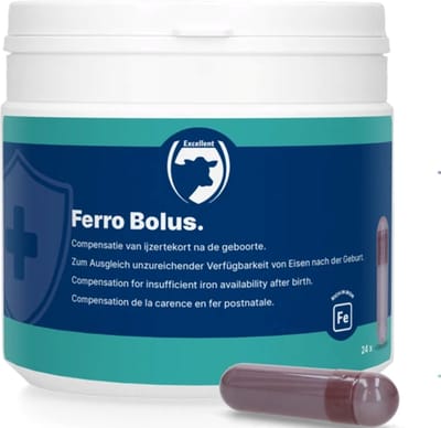 Excellent Ferro Bolus - 24 Stuks - Voor de goede opbouw van de ijzervoorraad - Geschikt voor kalveren