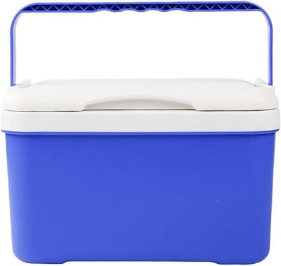 Draagbare Koelbox - Geïsoleerde Container - Buitenactiviteiten - Luchtdicht Deksel - 6 Liter - Zwart