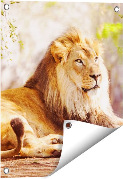 Gards Tuinposter - 40x50 cm - Tuindoek - Tuindecoratie - Wanddecoratie buiten - Tuinschilderij
