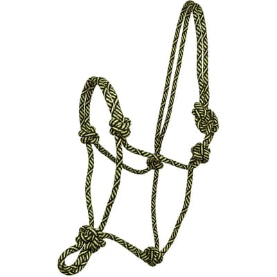 Halster voor paarden York Bright