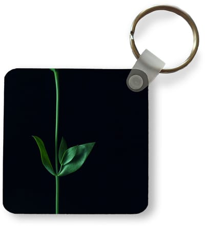 Sleutelhanger - Uitdeelcadeautjes - Een groene stengel met twee bladeren tegen een zwarte achtergrond - Plastic