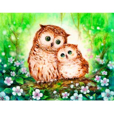 5D DIY Diamond Painting Een paar uilen Borduren Kruissteek Strass Mozaïek Home Decor 20X30CM green