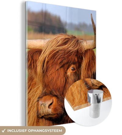 MuchoWow® Glasschilderij 120x160 cm - Schilderij acrylglas - Schotse Hooglander - Gras - Boom - Foto op glas - Schilderijen