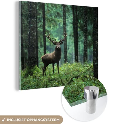 MuchoWow® Glasschilderij 50x50 cm - Schilderij acrylglas - Hert - Bomen - gewei - Foto op glas - Schilderijen