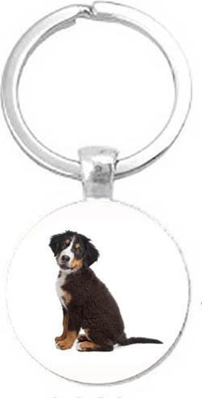 Akyol - berner sennenhond Sleutelhanger - Honden - de echte honden liefhebber - Hond sleutelhanger - Sleutelhanger hond - Dieren - Huisdier cadeau - Honden - Dogs keychain - Hondenaccessoires - Hondenspeelgoed - 2,5 x 2,5 CM