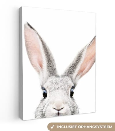 Canvas schilderij 30x40 cm - Wanddecoratie Konijn - Dieren - Natuur - Wit - Muurdecoratie woonkamer - Slaapkamer decoratie - Kamer accessoires - Schilderijen op canvas